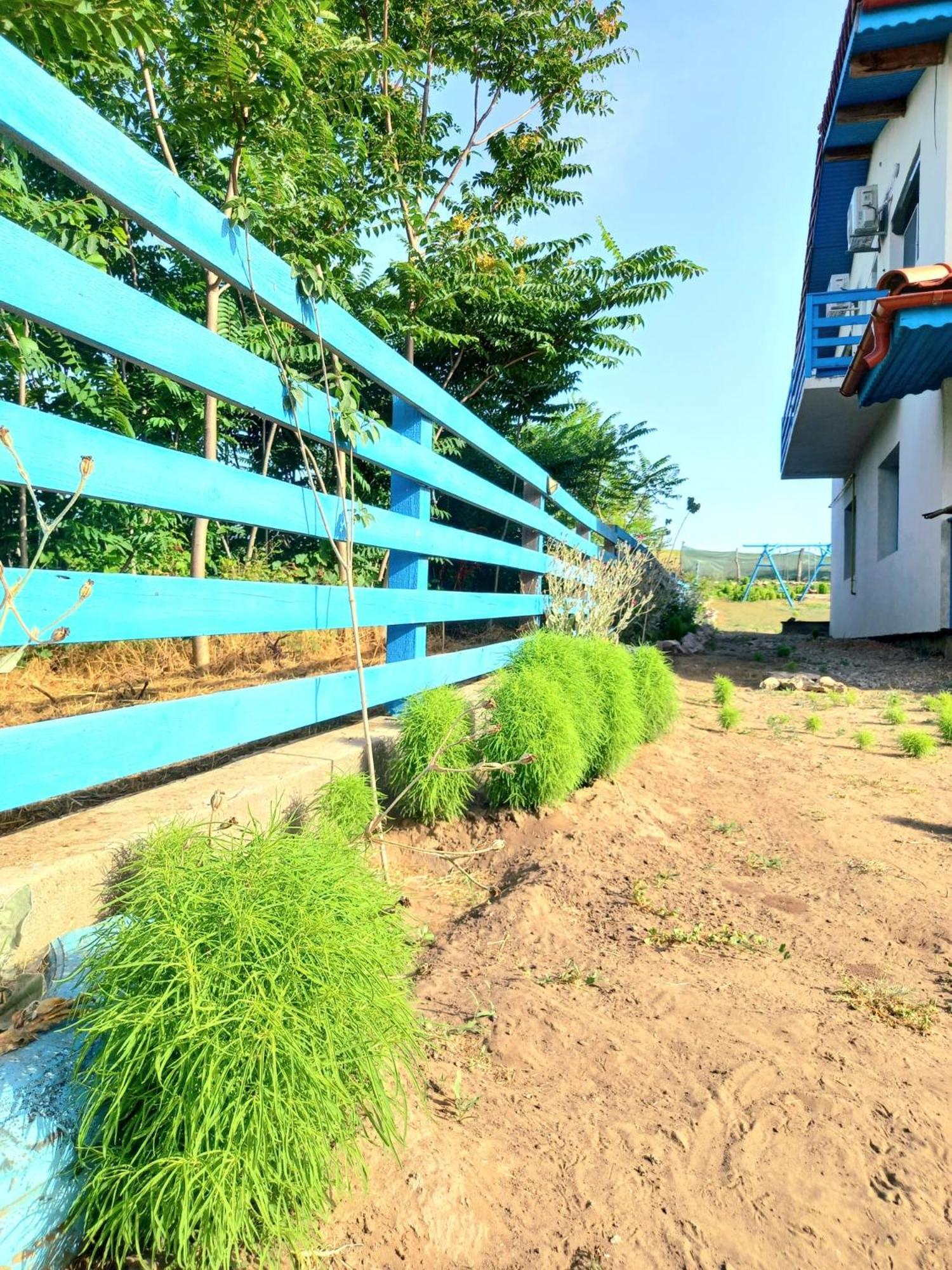 فندق Casa David Dunavăţu de Sus المظهر الخارجي الصورة